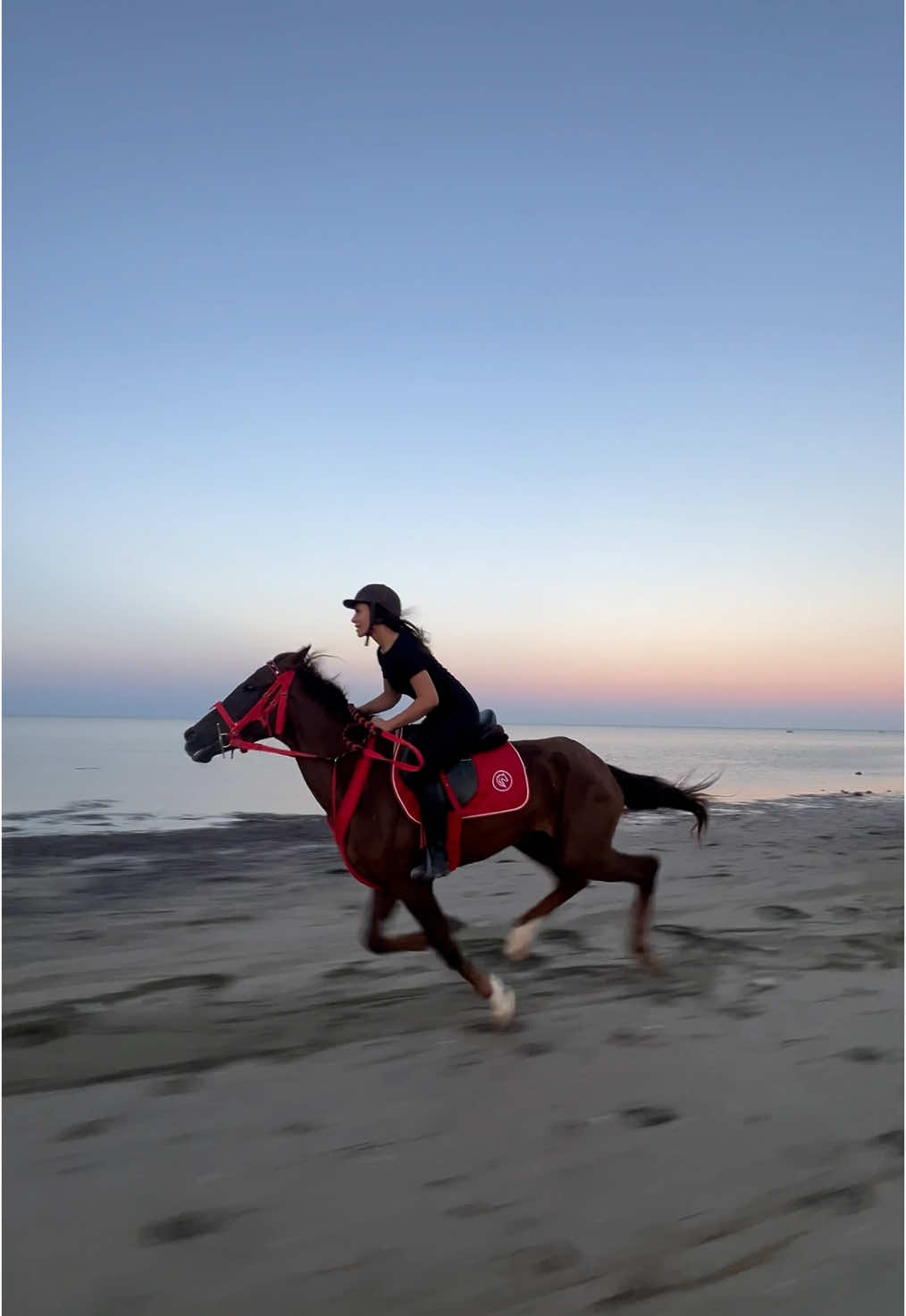 @Feres Ben Amor 🏇