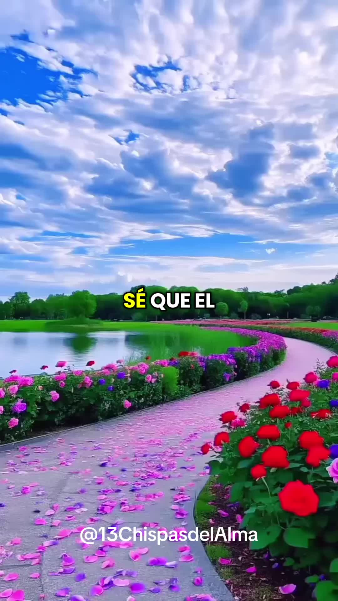 @13ChispasDelAlma