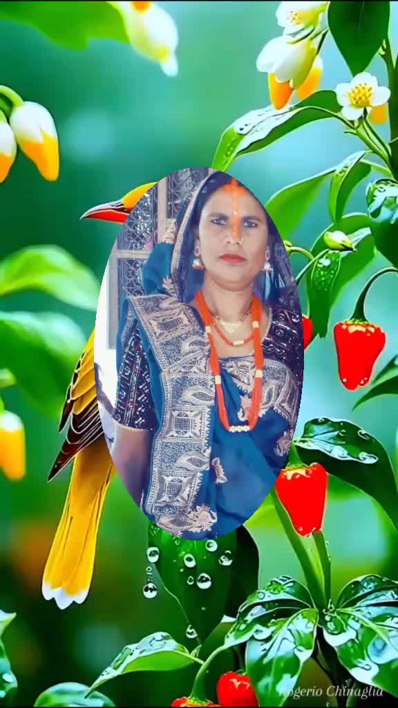 @Aanand kamti