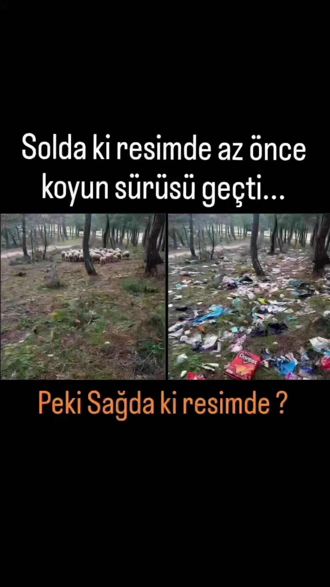 @sazcalalim
