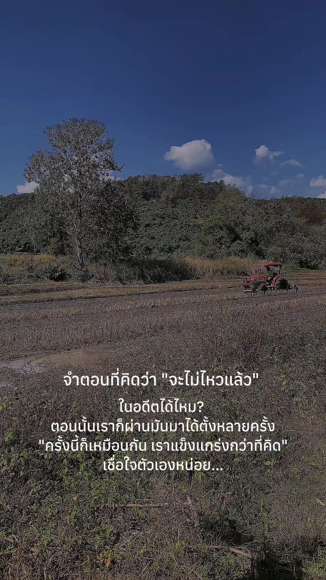 @น้องนู๋มิ้นท์🌻manthana💕🌈
