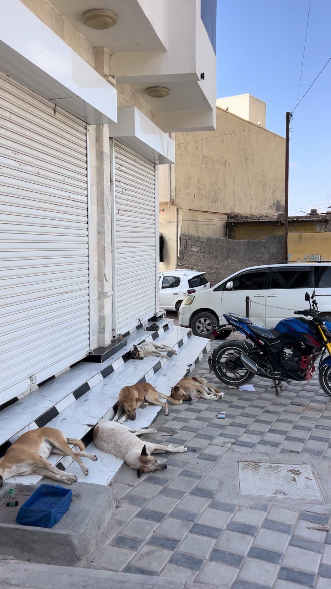 @Mootada caasimada🏍️🇮🇷