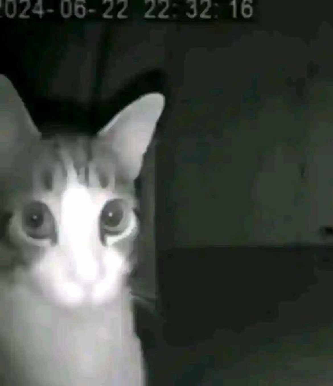 @𝐑𝐎𝐑𝐈
