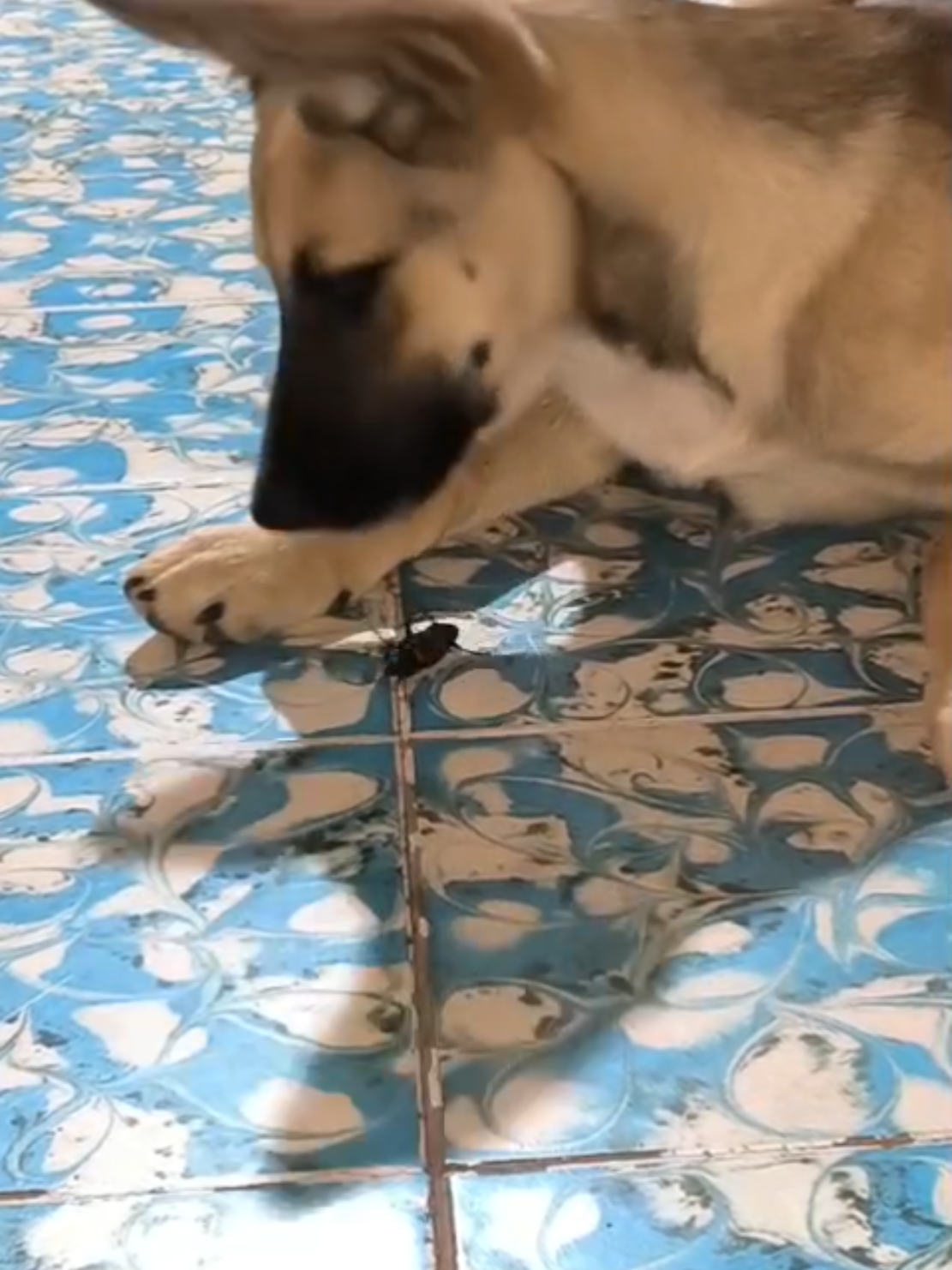 @Mąrįța Pę&ntilde;ą