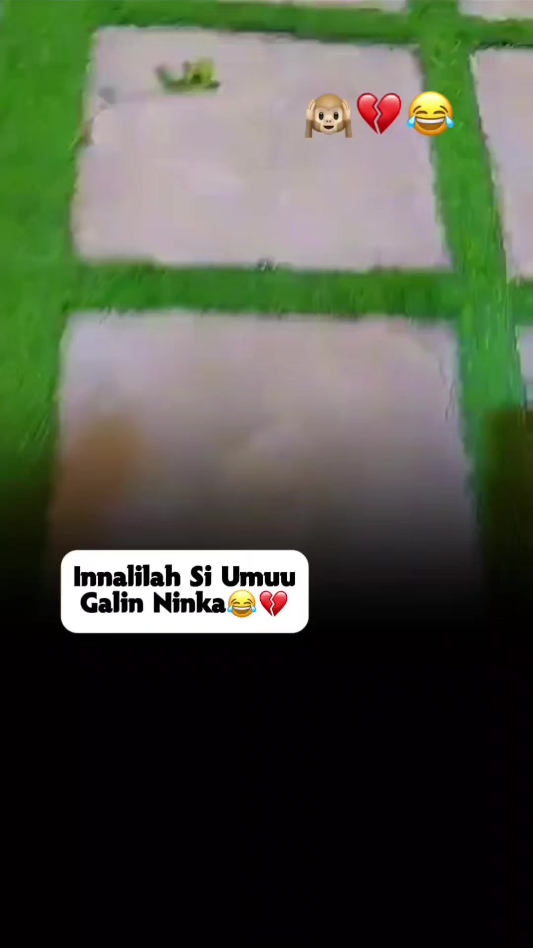 @𝗤𝗮𝘆𝗹𝗼٭͜🖤🦈