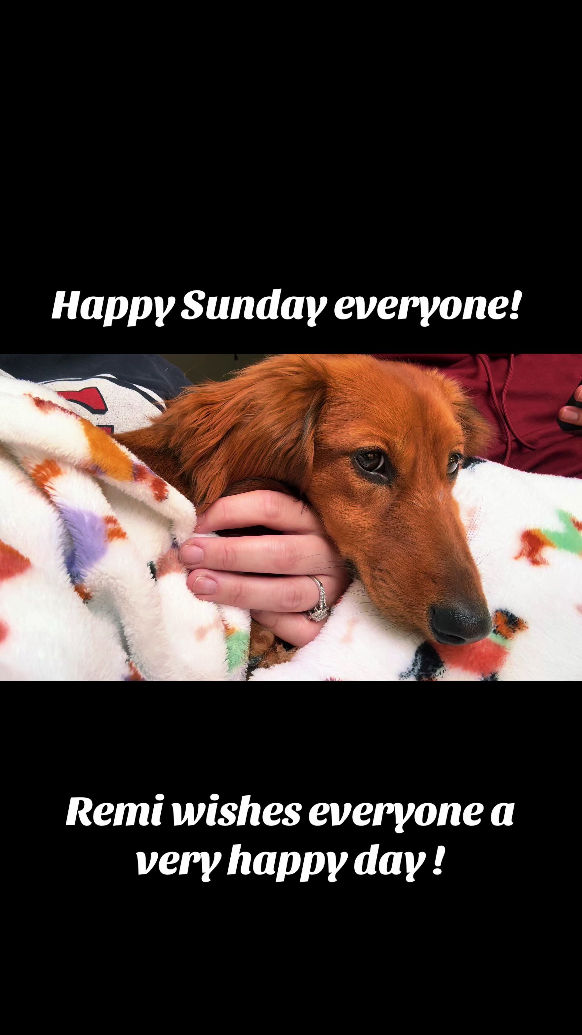 @remi.the.mini.ween