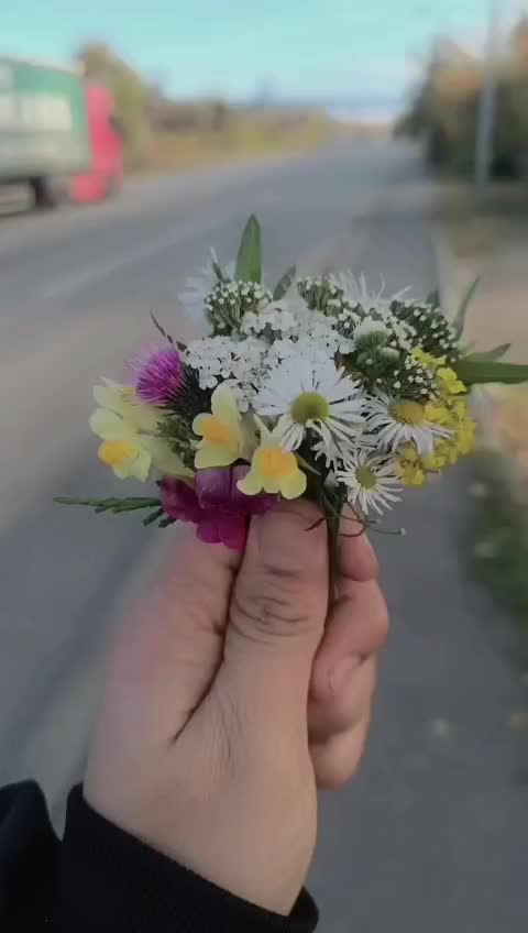 @Dipeshkhadka111