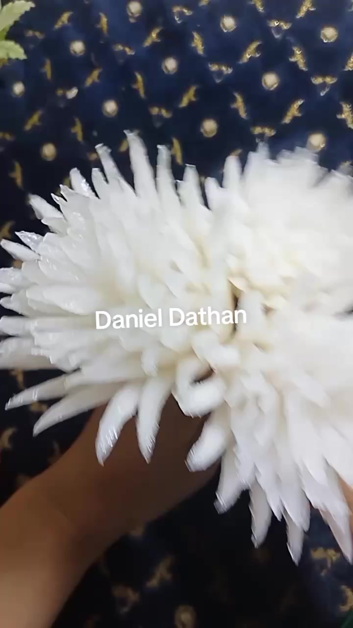 @Daniel Dathan