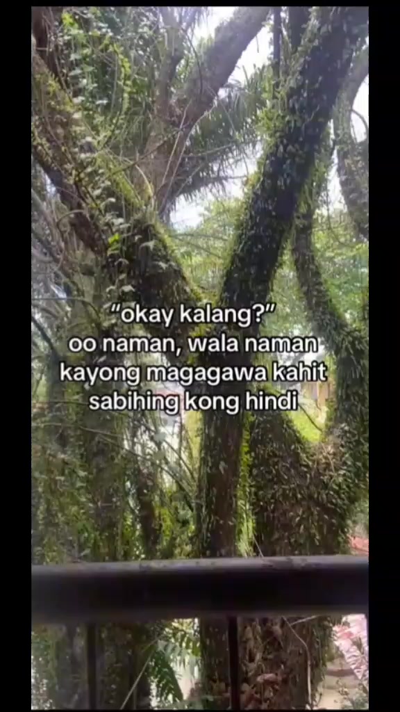 @MJ dalos santos