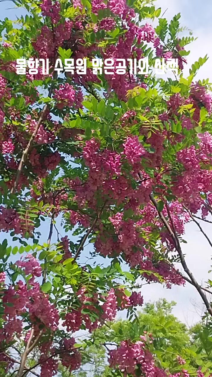 @โค๏ธ๐ฅ๋ฌด์์ โค๏ธ๐ฅ์ฅํ์จํฌ