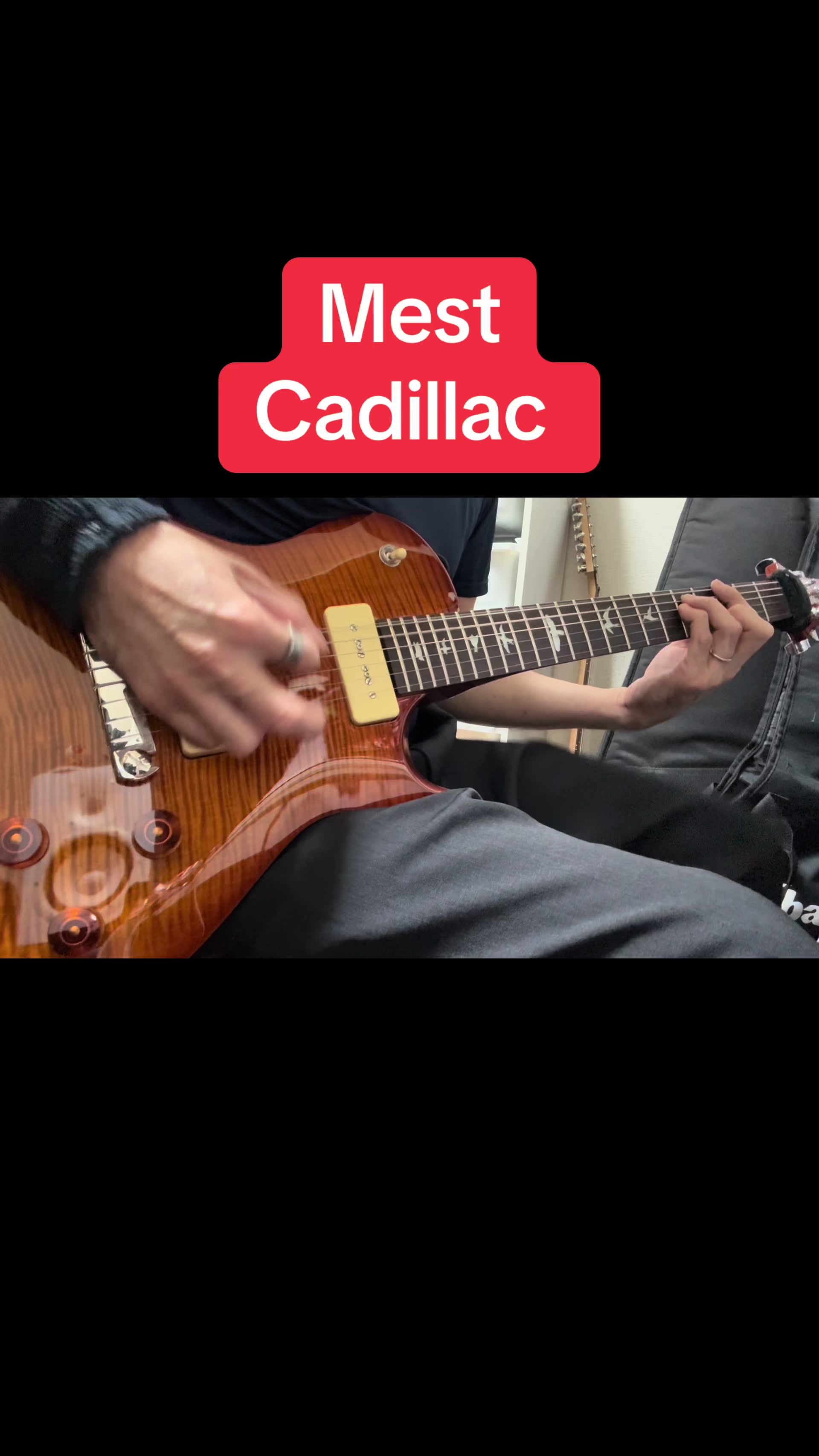 @ponchichi711
