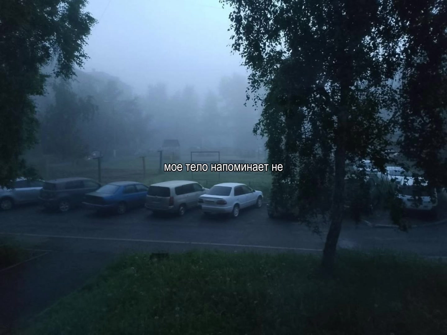 @оляска