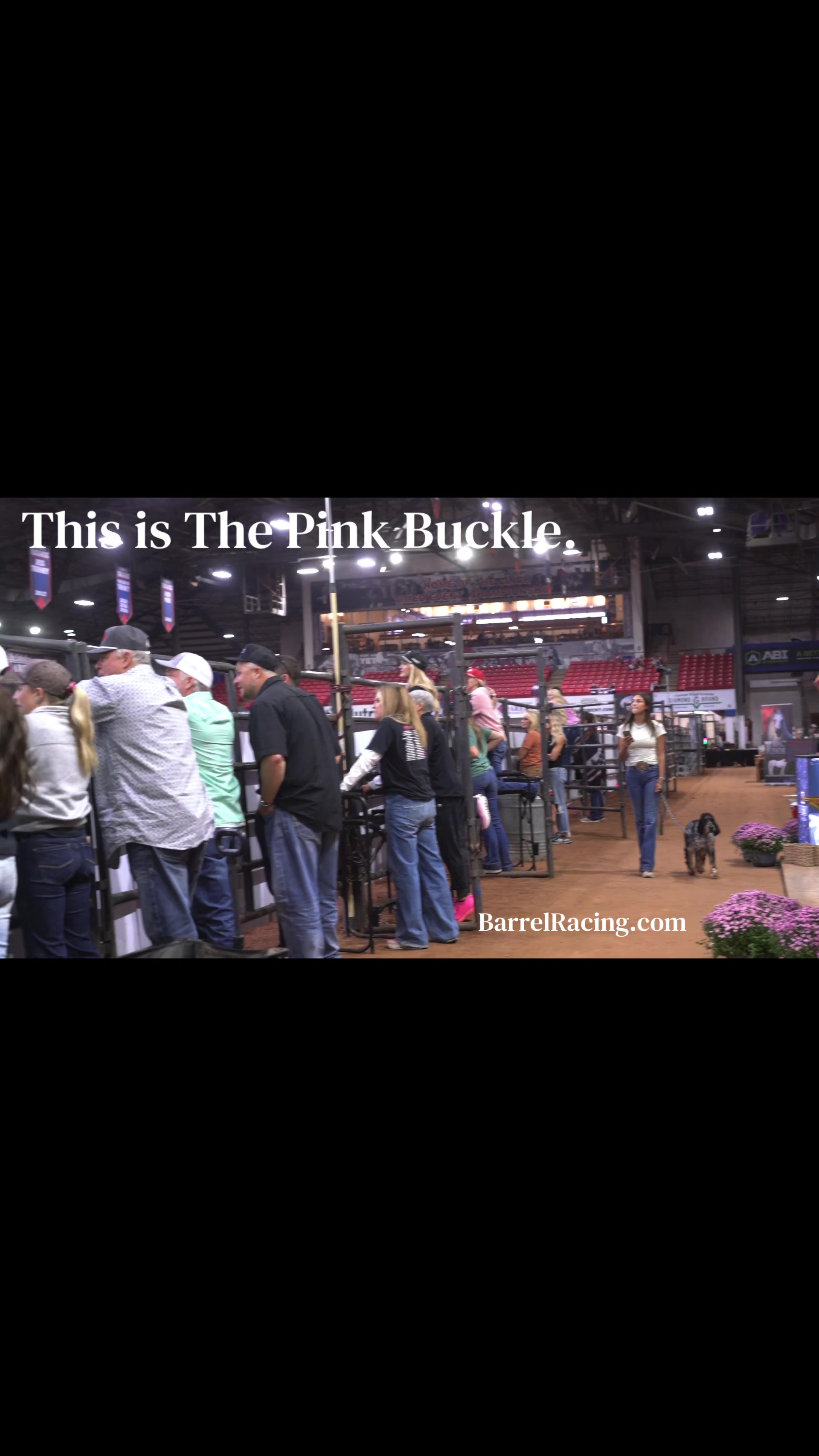 @BarrelRacing.com