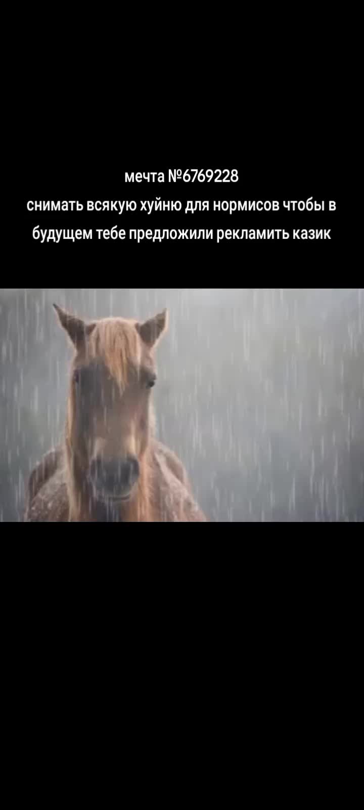 @Арсений🎀