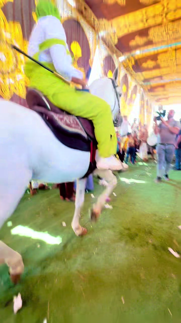 @الملكه شهد عبدالرحمن 🥇🐴&hearts;️