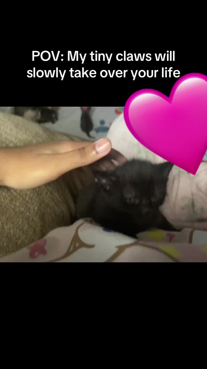 @ヴァロ_TITUS