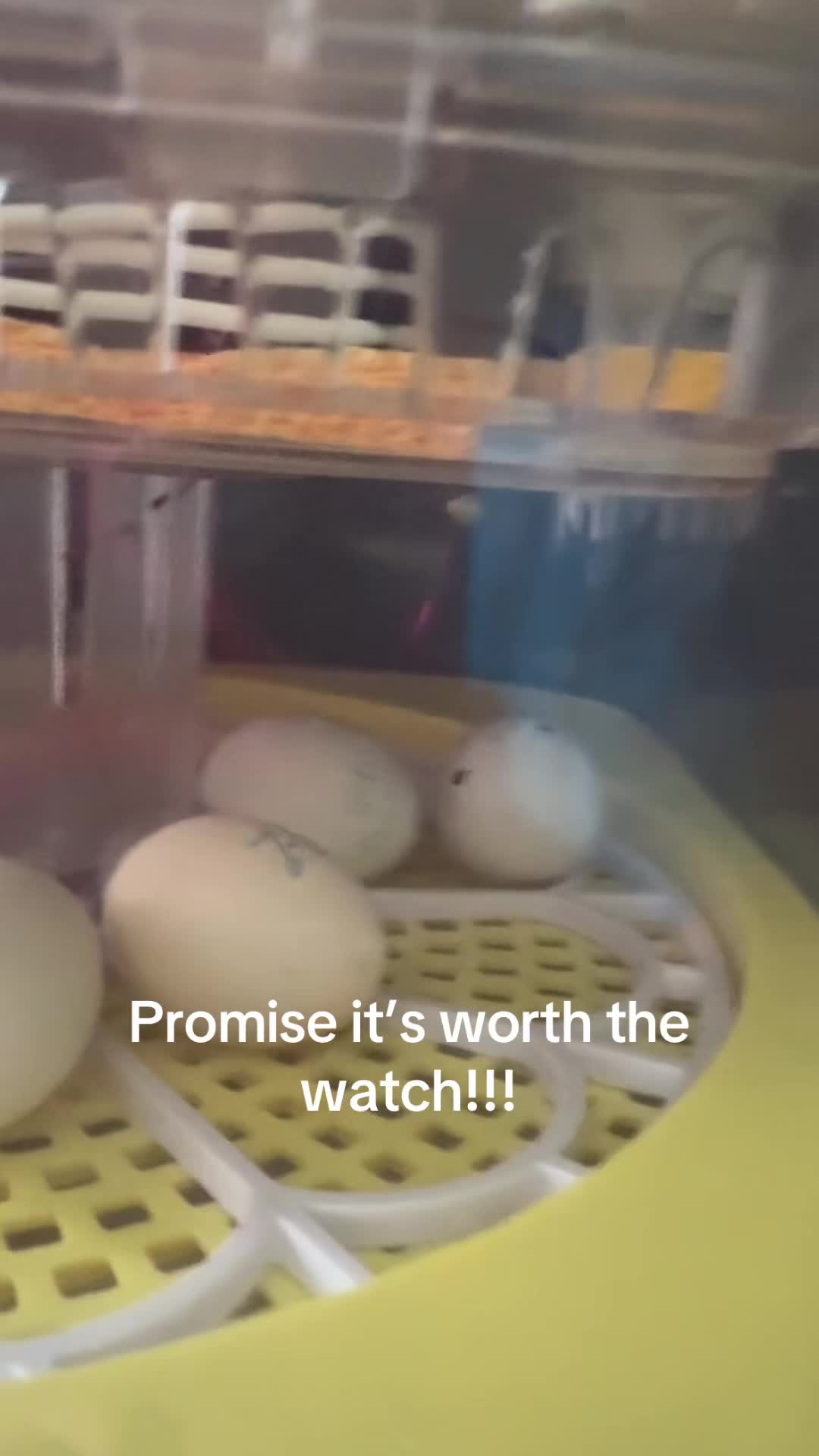 @Mama Jay Unfiltered