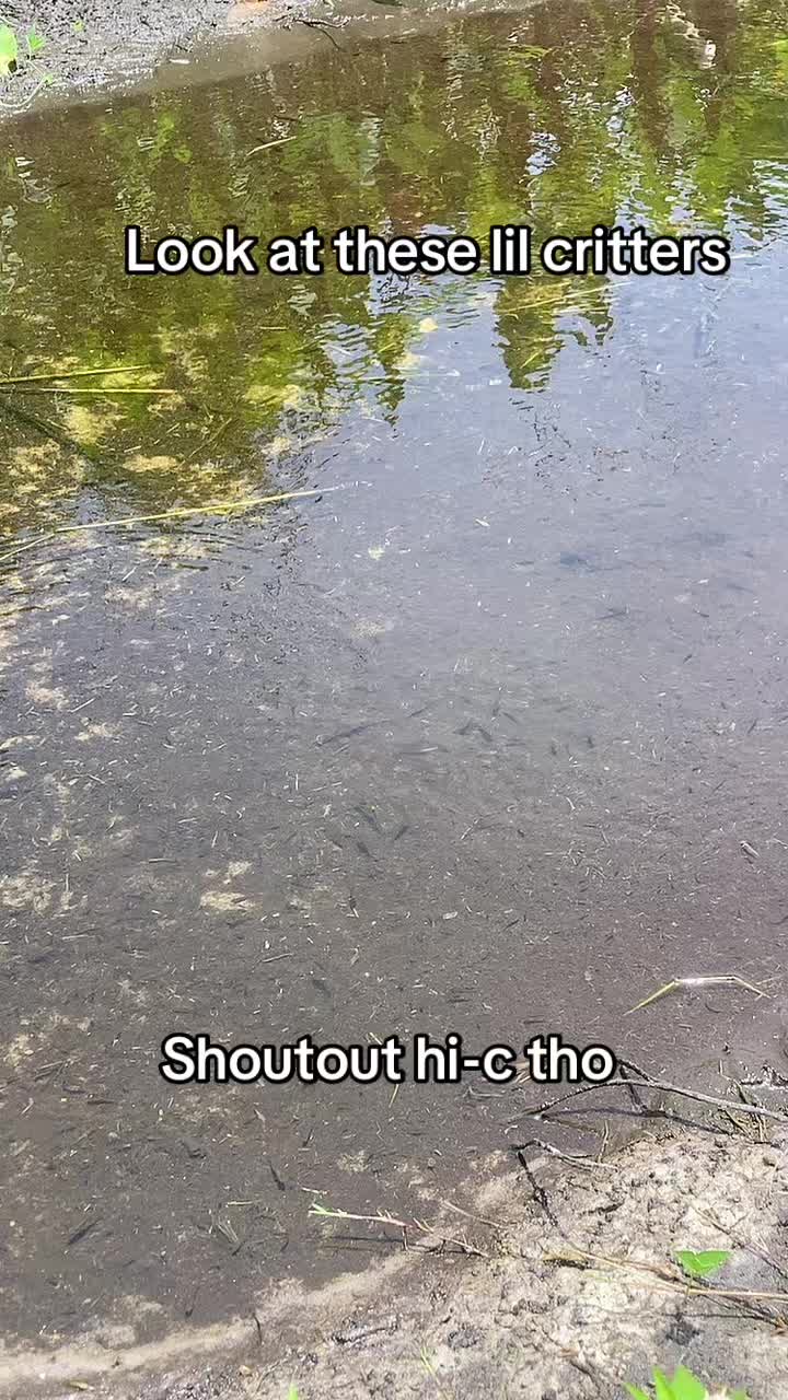 @ihatetoadmitit