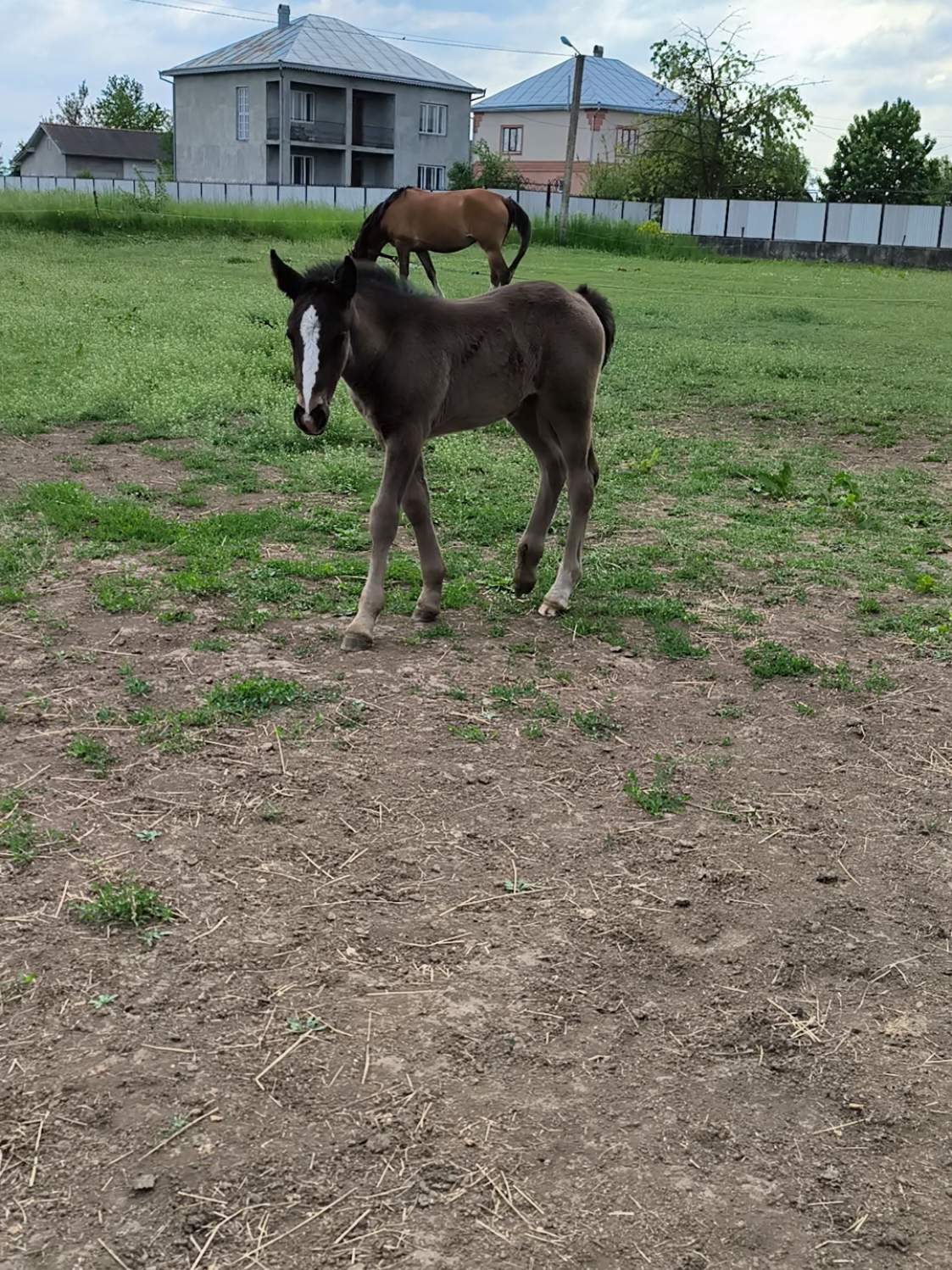 @ВАСЯ БОЙЧУК 🐎