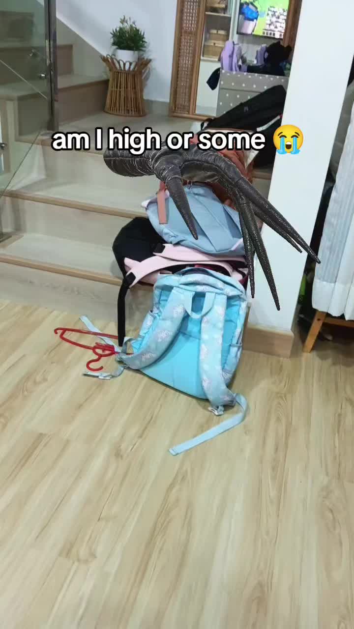 @⏤͟͟͞͞✦𝗭𝗜𝗣𝗣𝗬𓆪