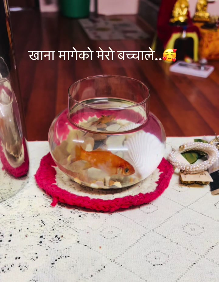 @Nisha Gharti Magar