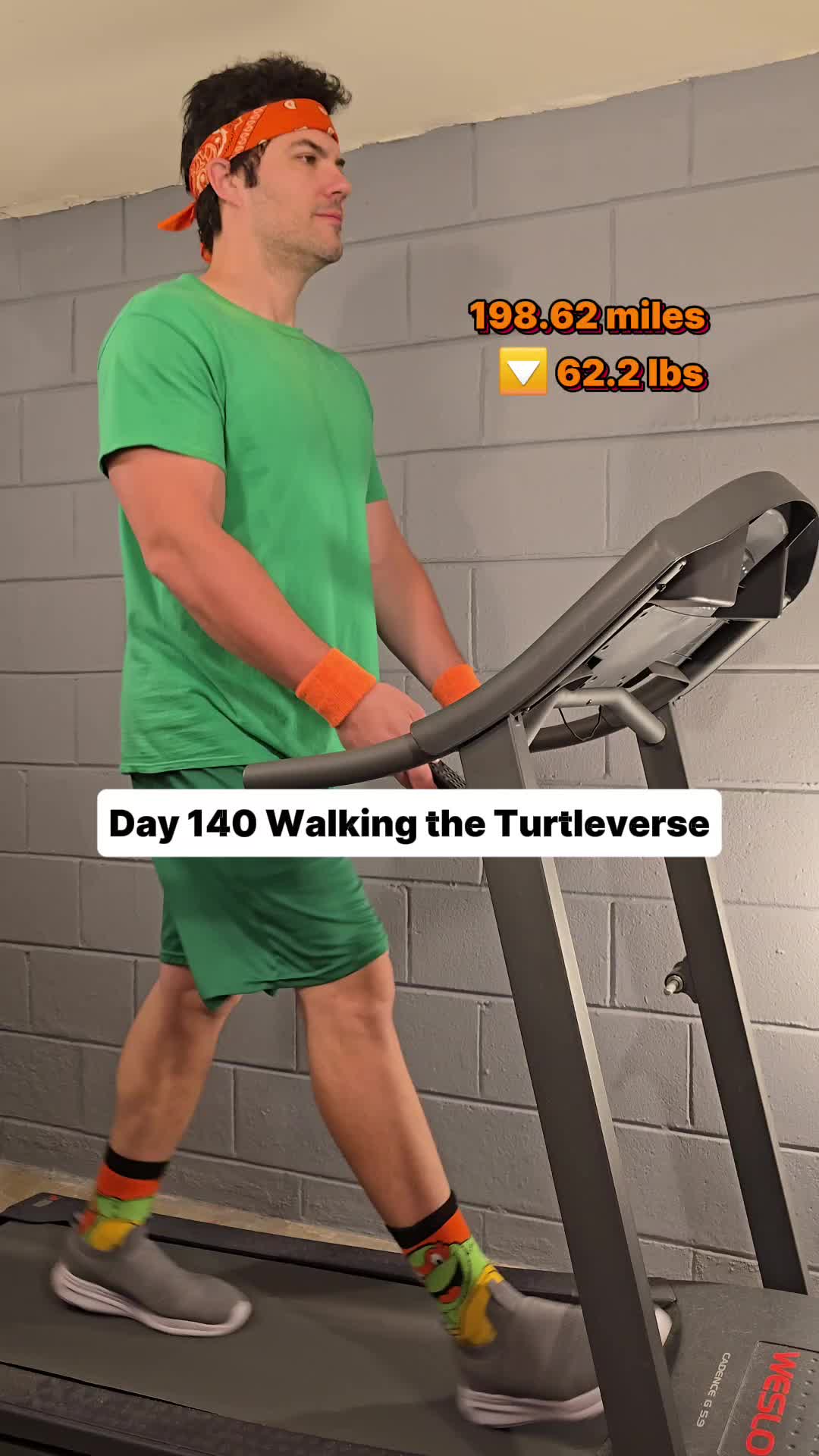 @Walking the Turtleverse