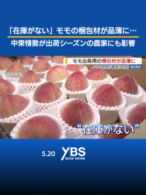 @YBSニュース 山梨【公式】