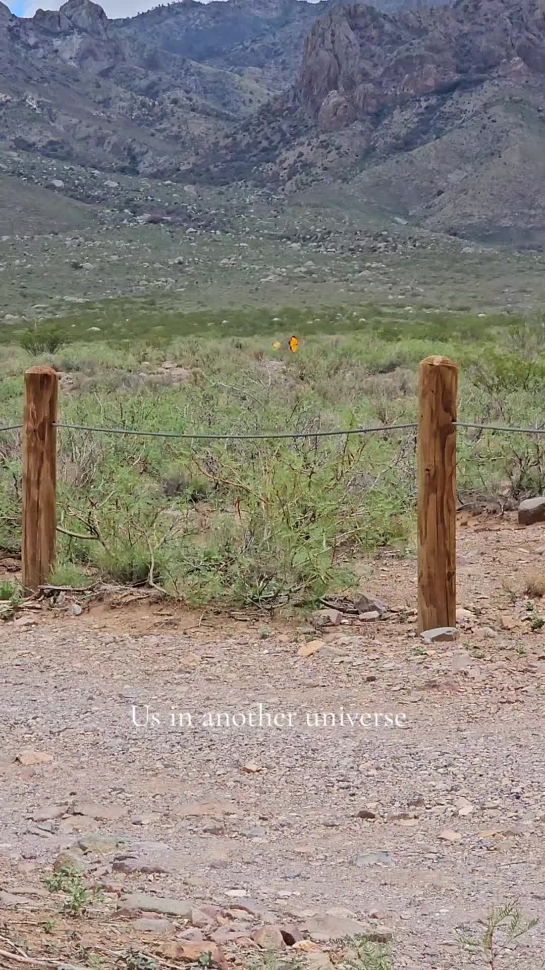@Skyler 🏳️&zwj;⚧️