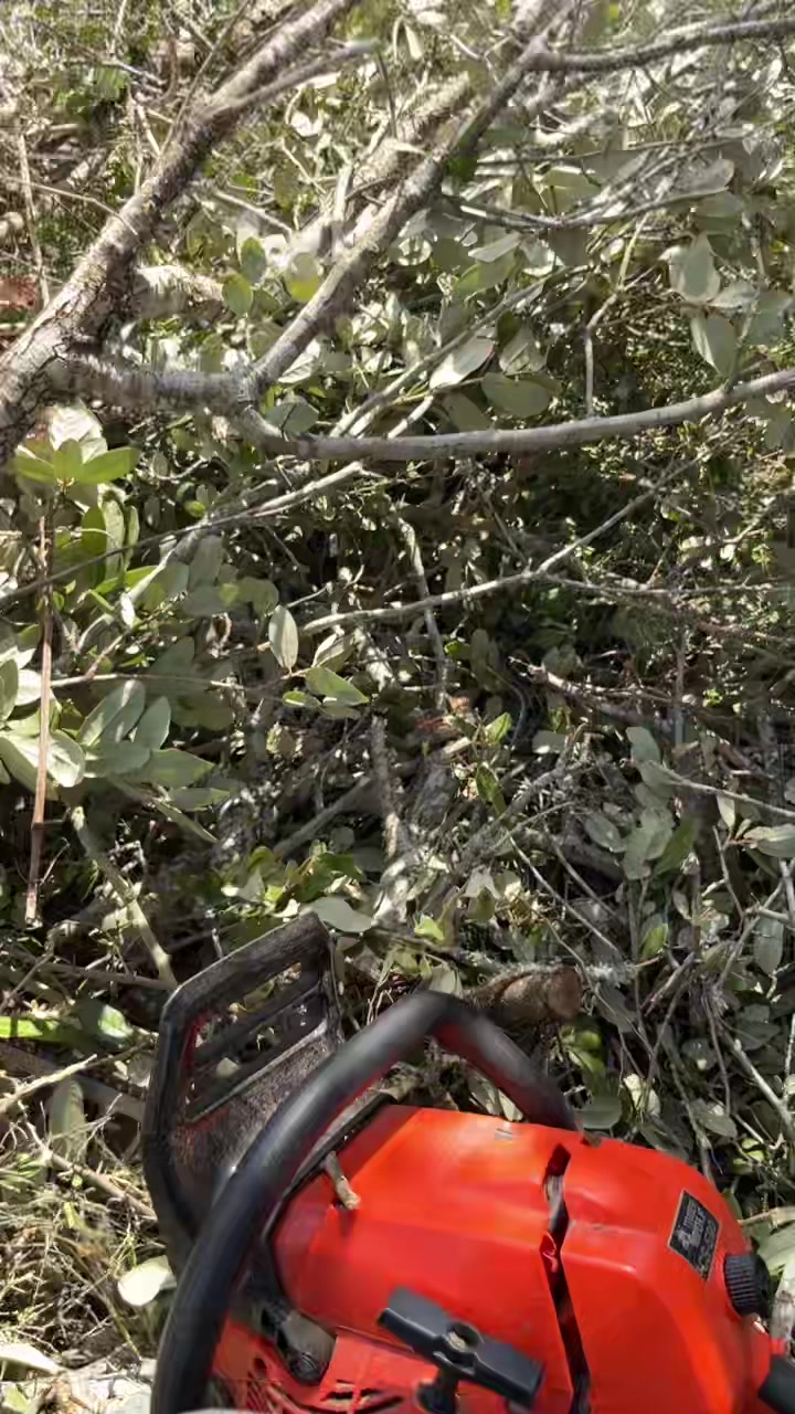 @bebesito Rodriguez