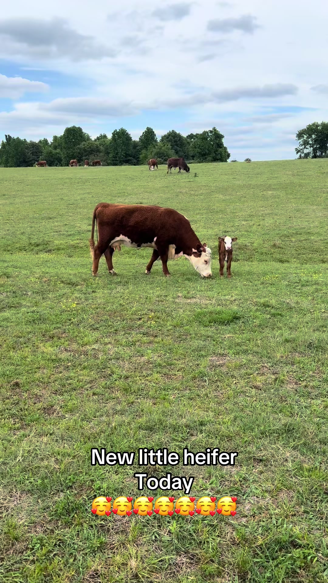 @Joe