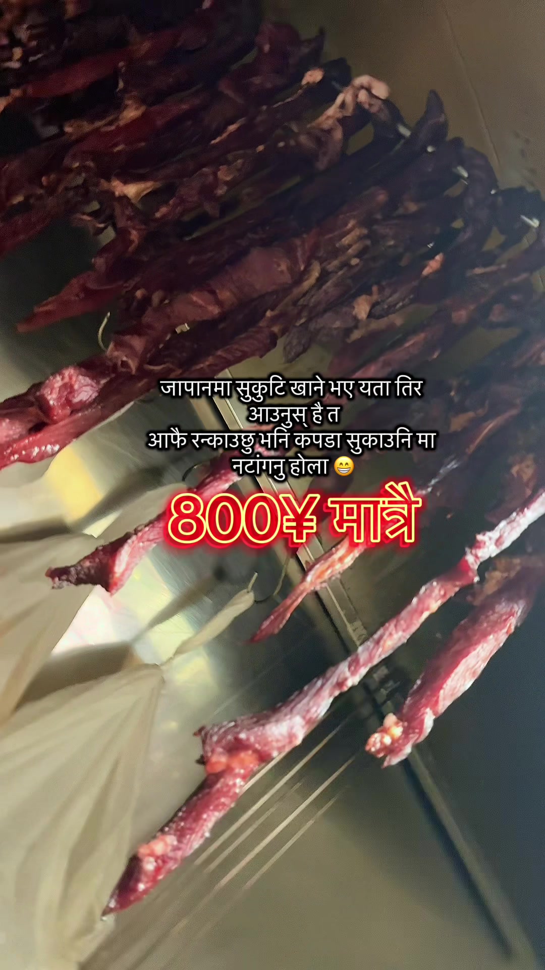 @nepalibhansaghar9