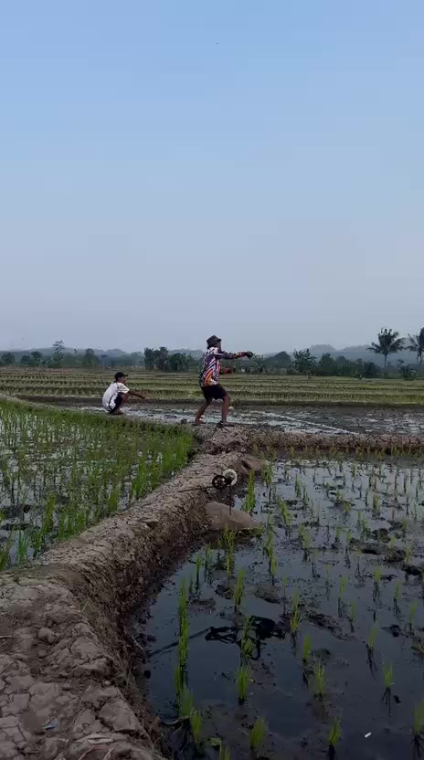 @PUTRA BUNGSU GARUT_D