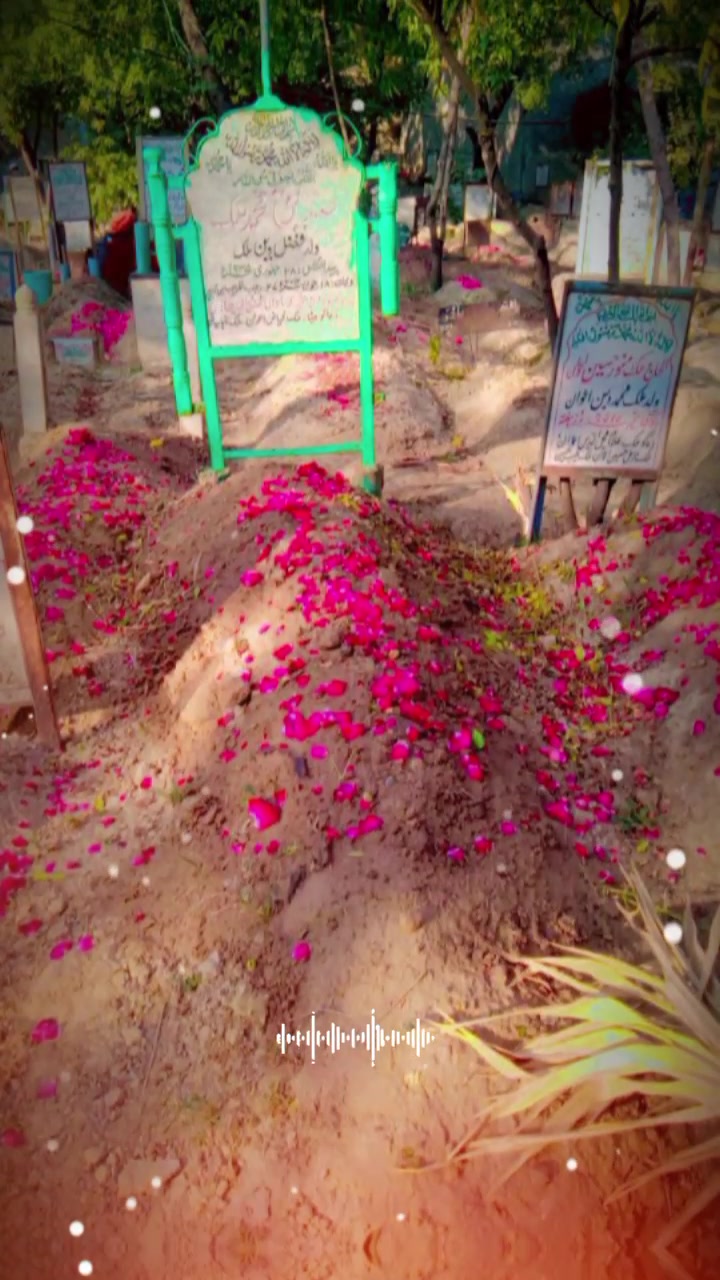 @M F AWAN 577 pinda waly