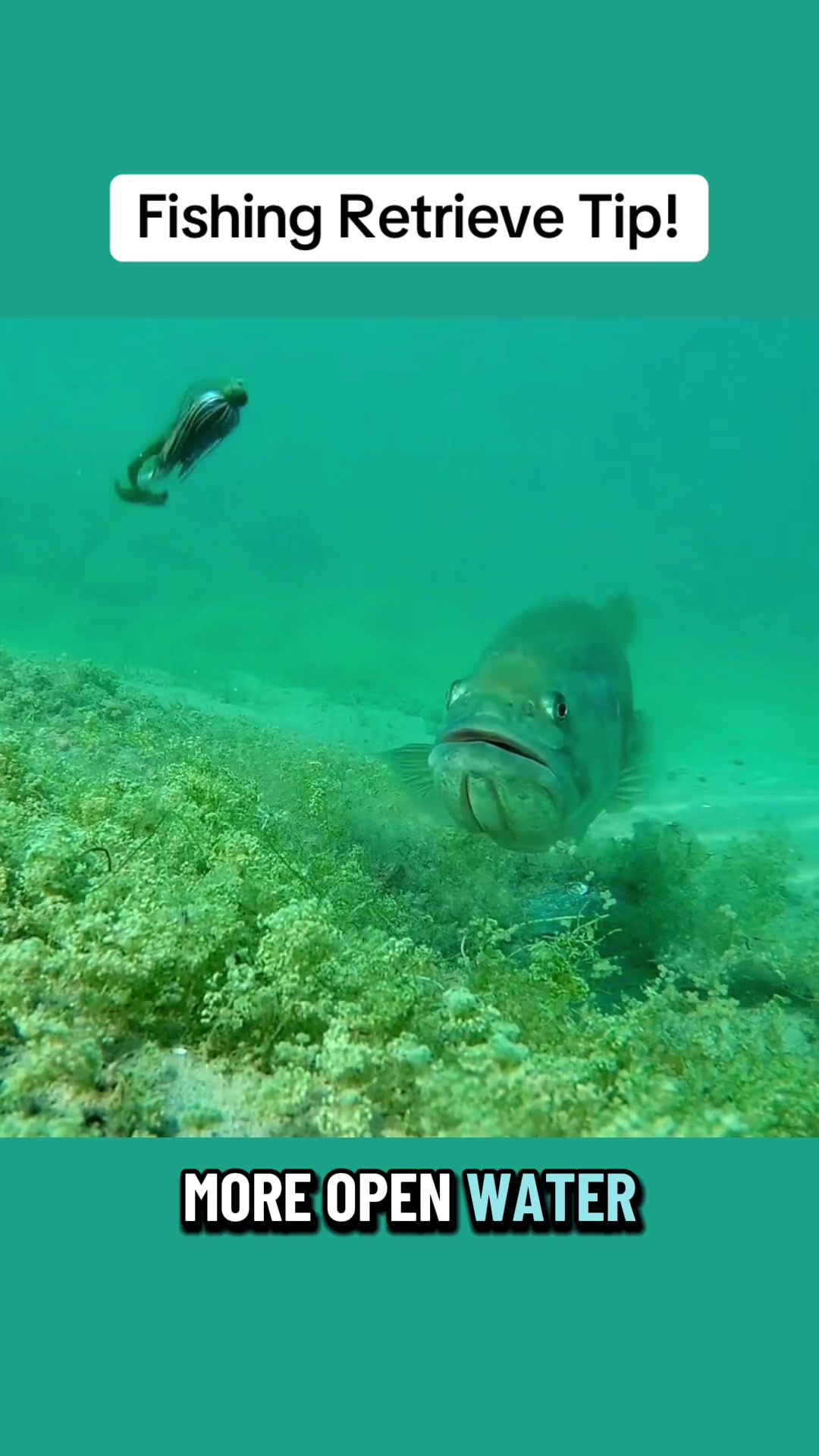 @Matt Fed Fishing