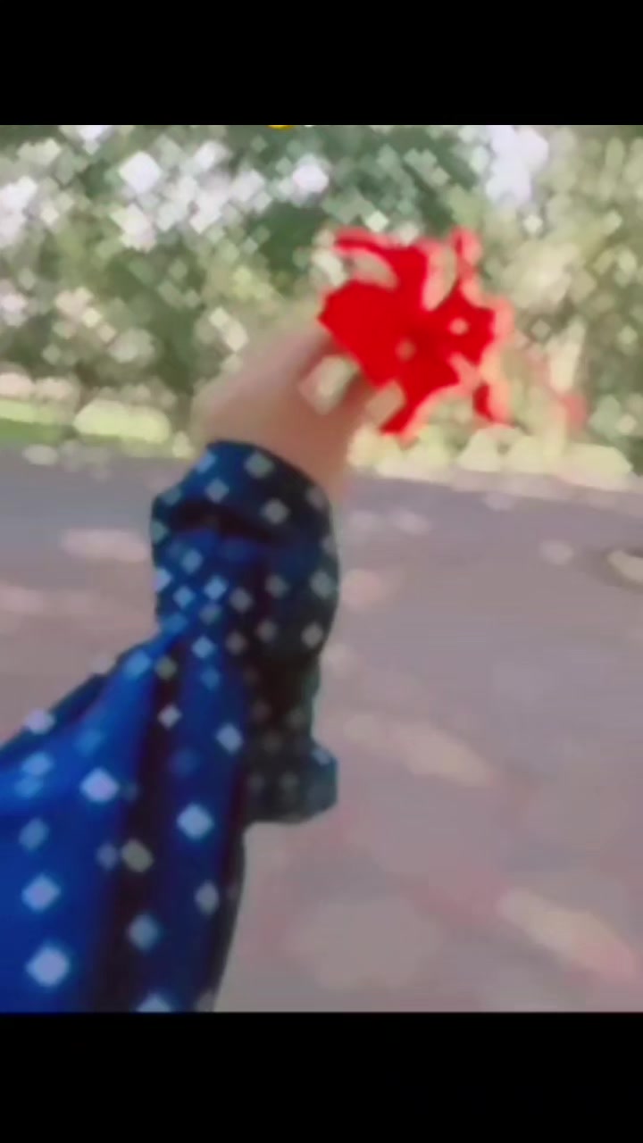 @🌸B Î S H Ü Ü🌸