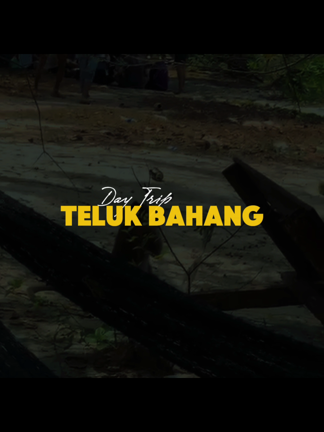@Raimi Muntazar