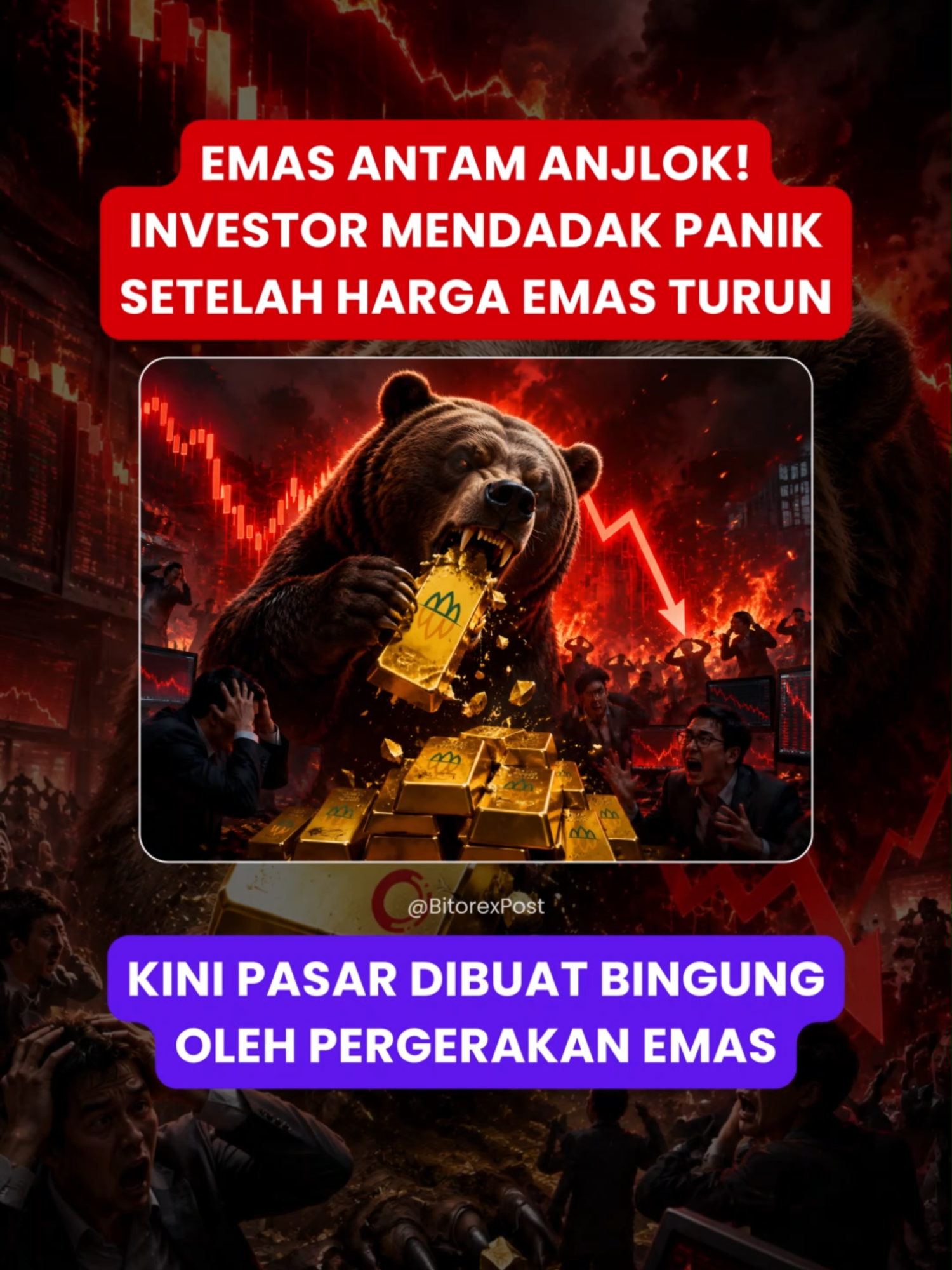 @Bitorex Post