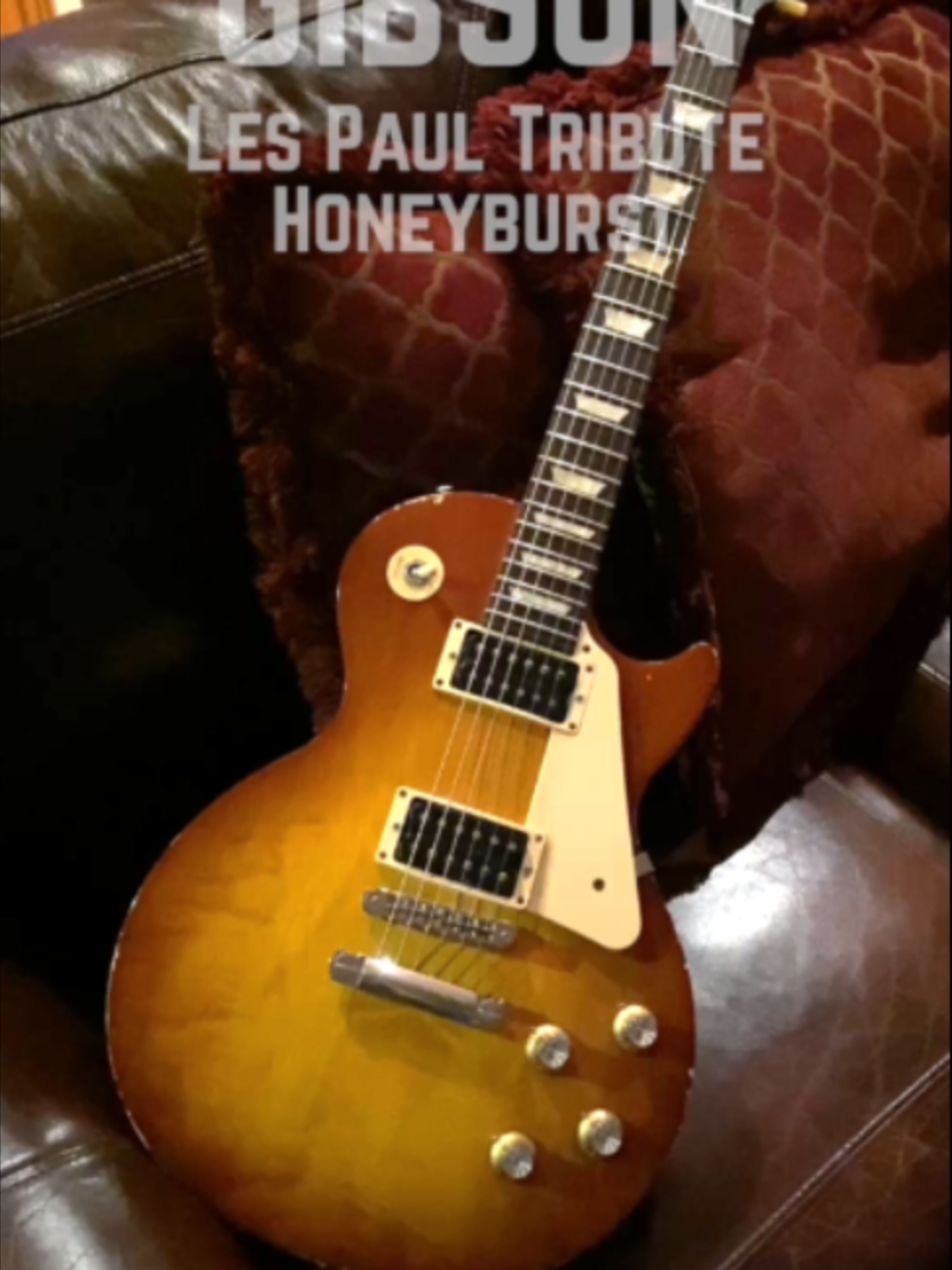 @GuitarNiche.Tech