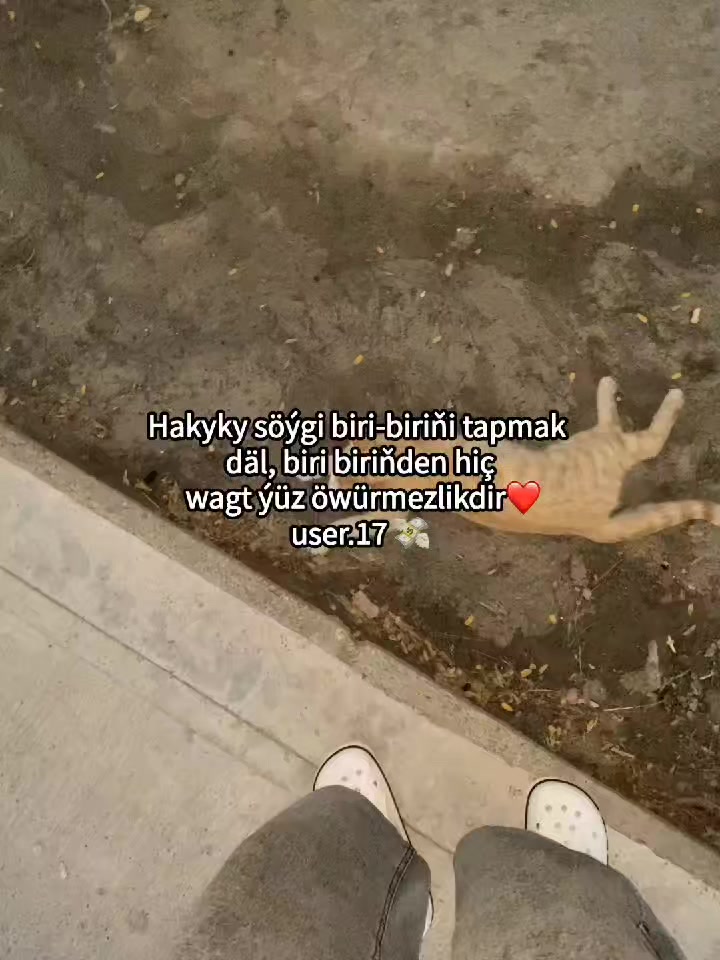 @user.17💸
