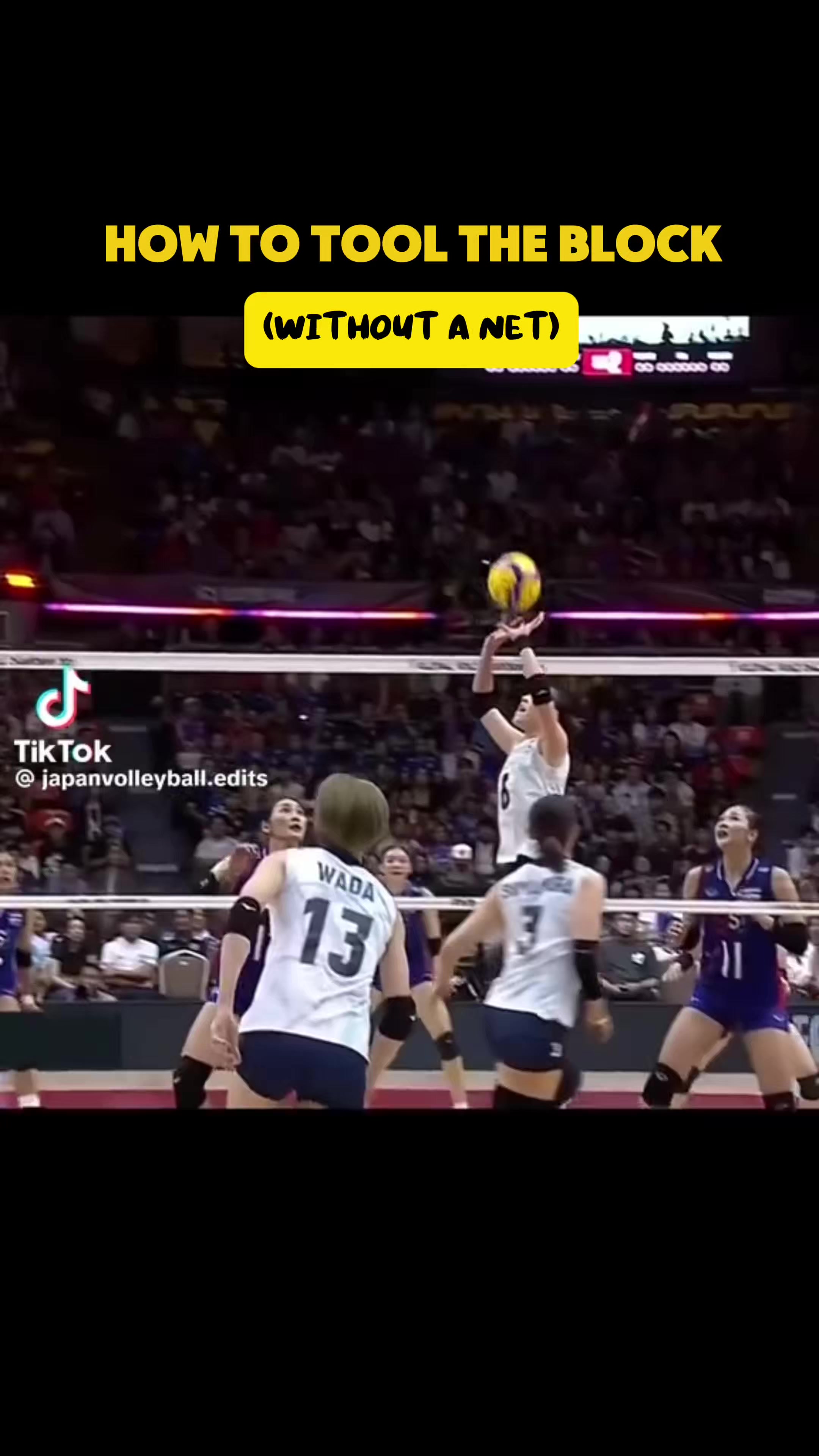 @Beastmode volleyball