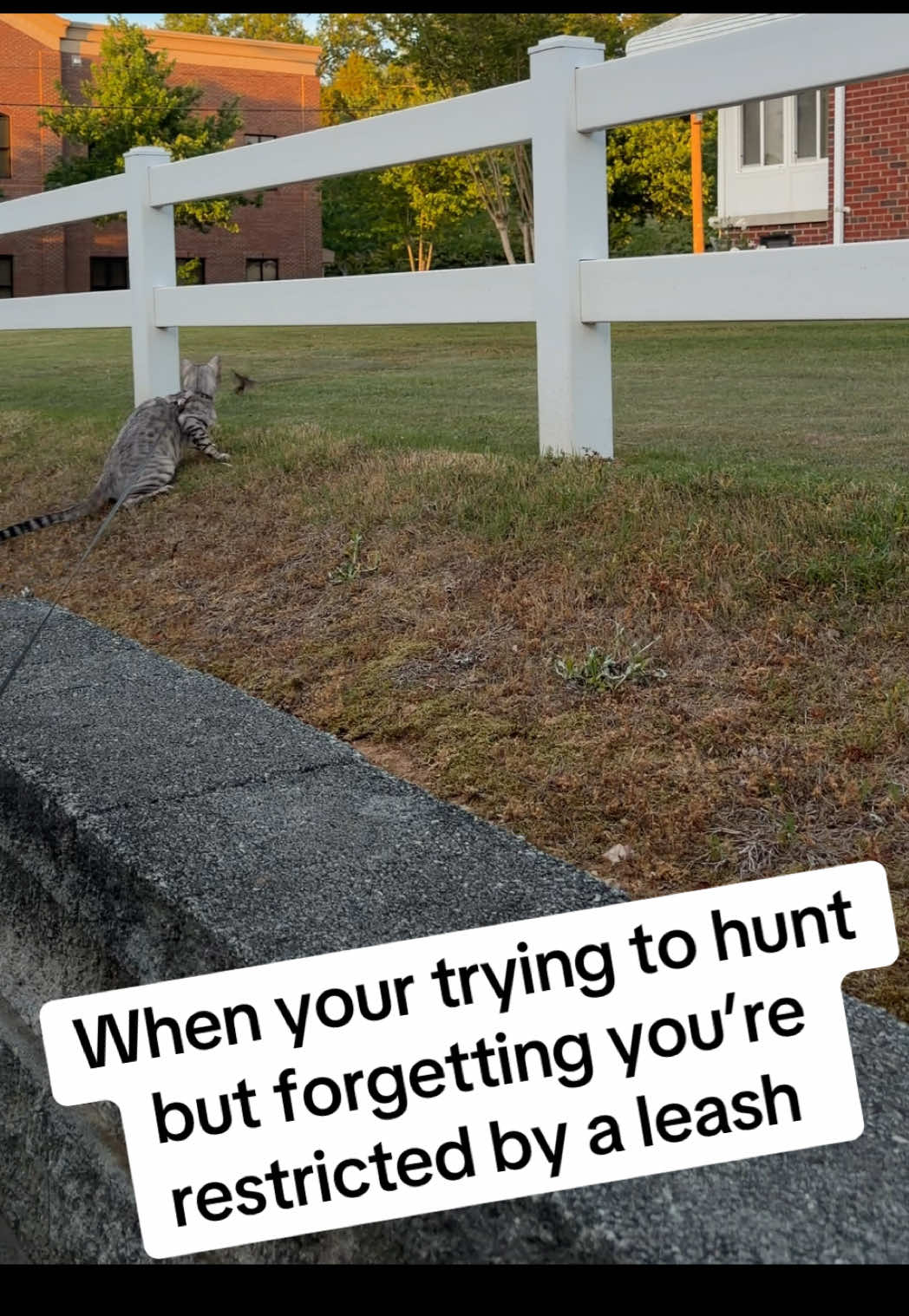 @gus.omatic