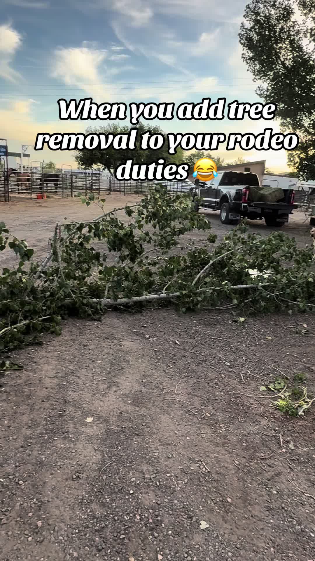@country.mom.adventures