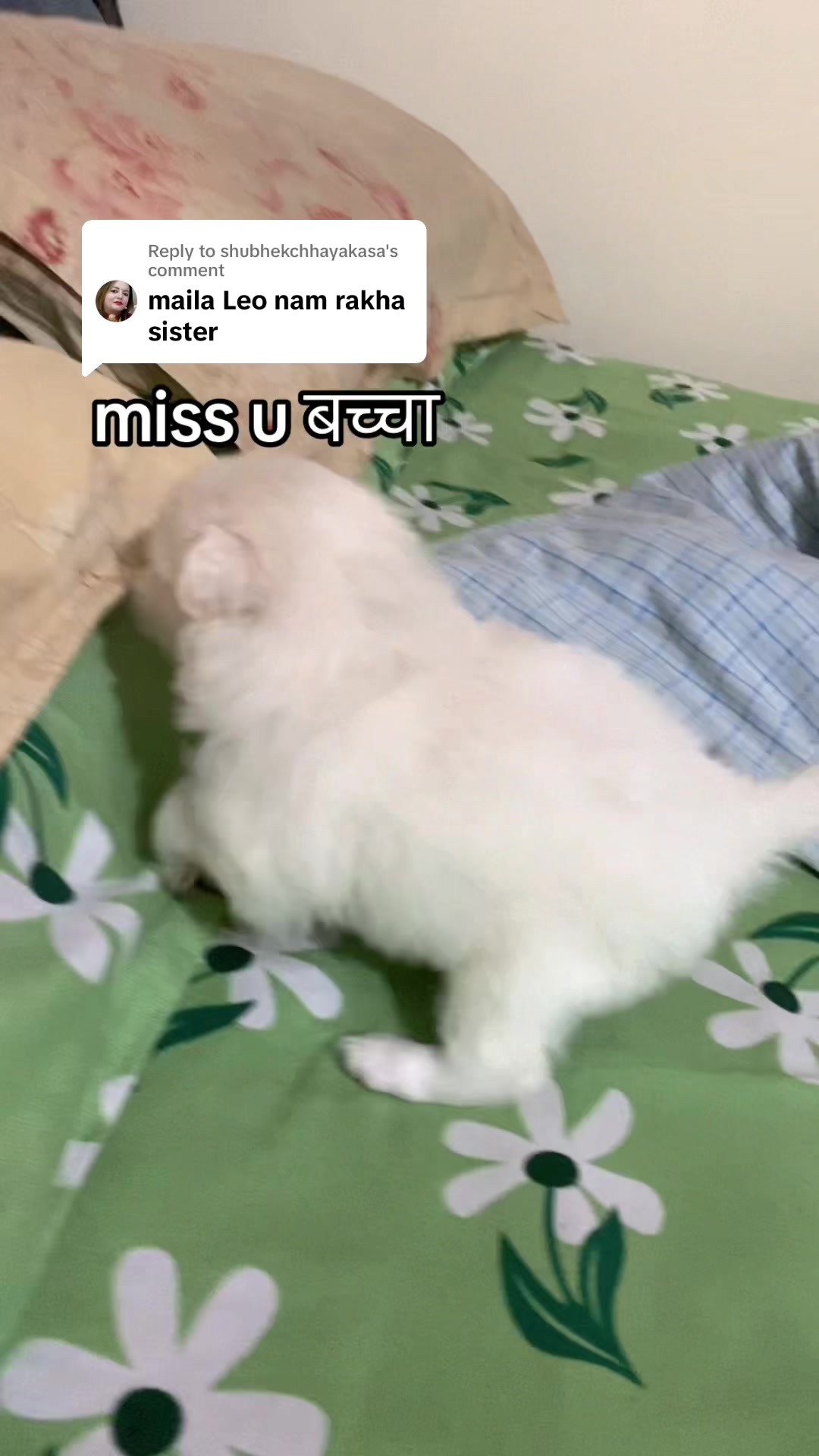 @SEET SAI🌹🌹