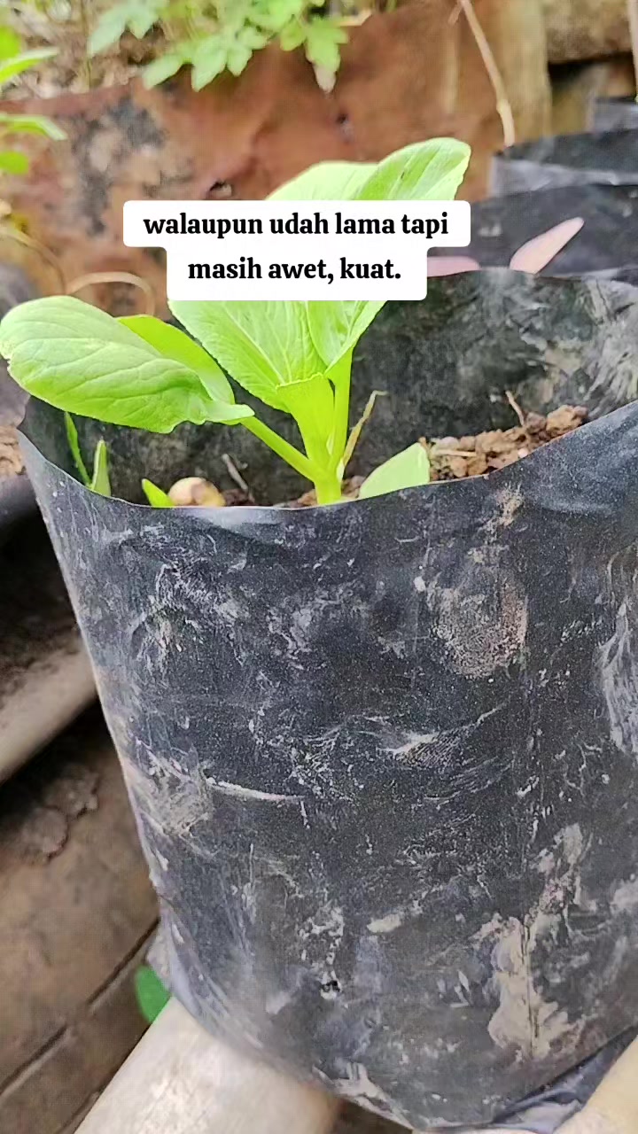 @Rastridd