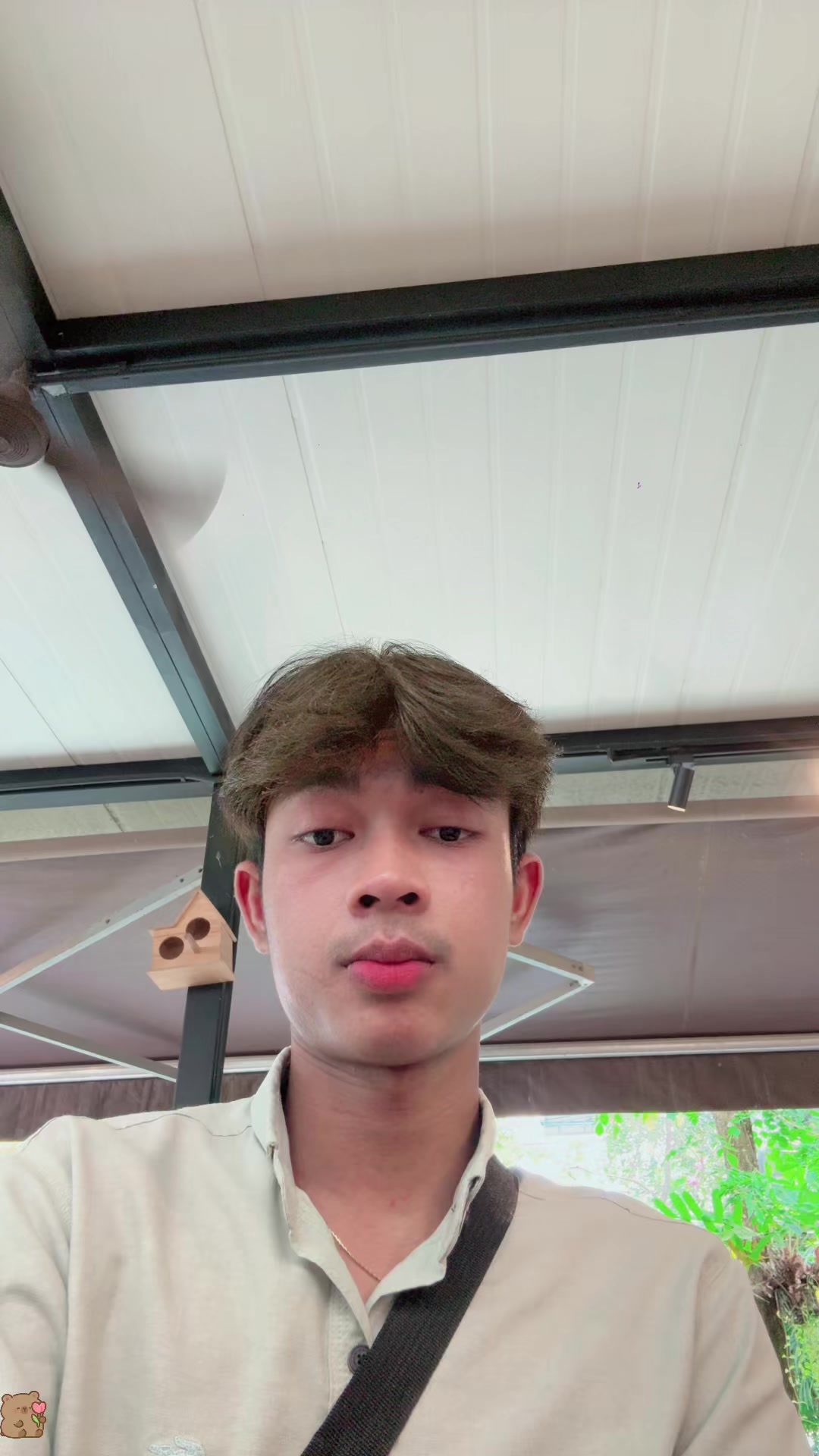 @大衛