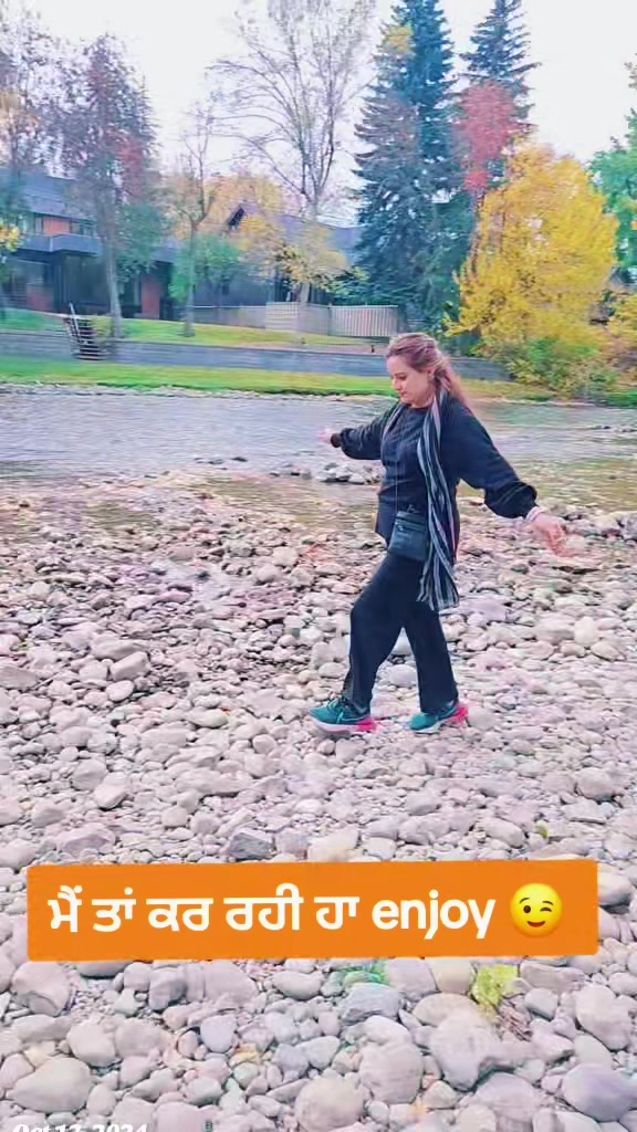 @meegeenik