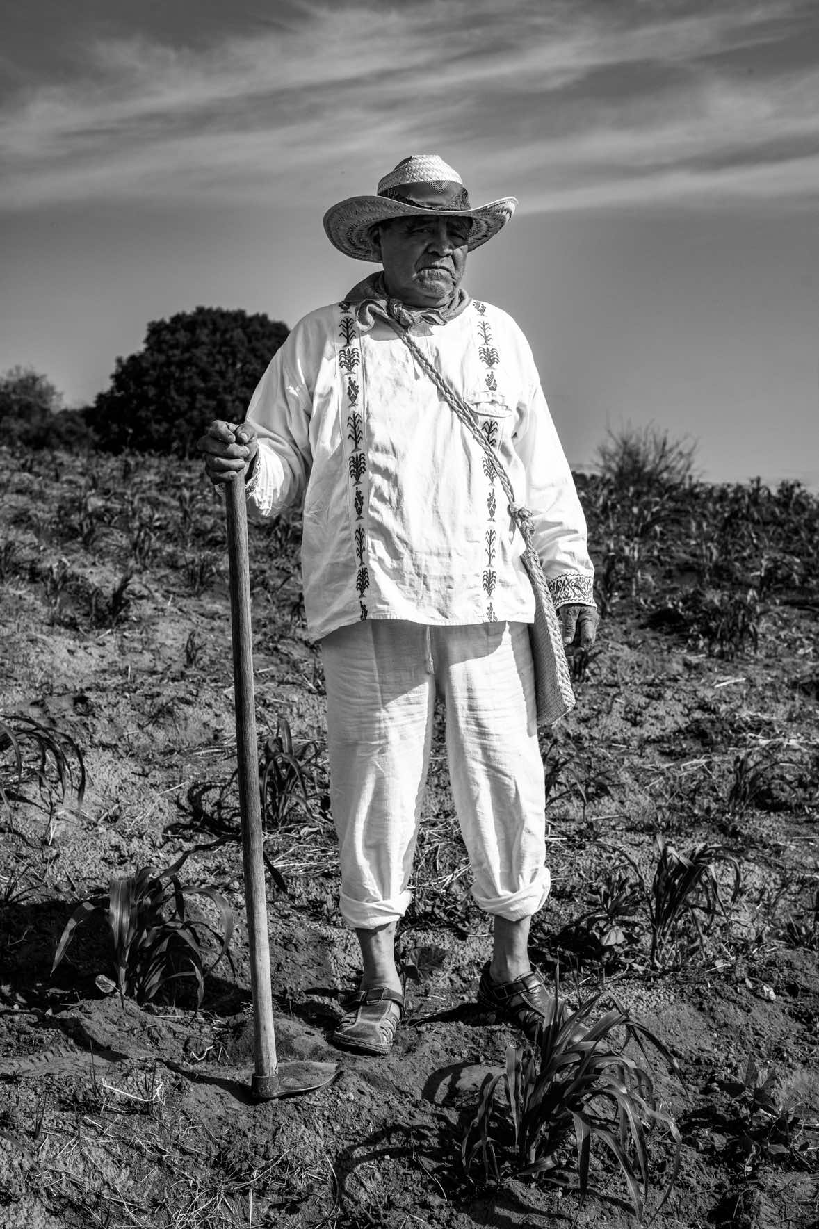 @Jorge D&iacute;az Henry