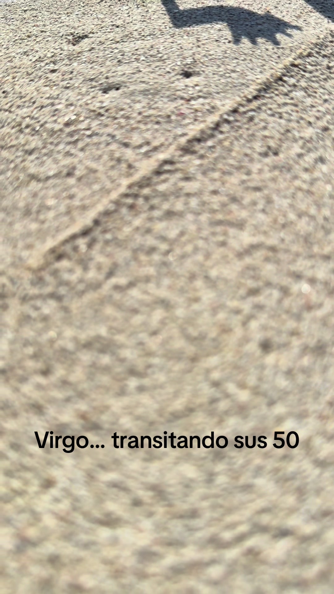 @🇦🇷 Virginiana ♍️ 🇦🇷