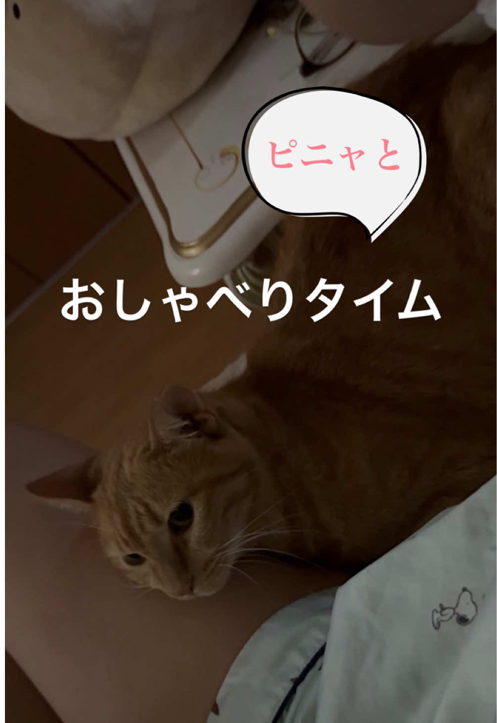 @さっことおちょ