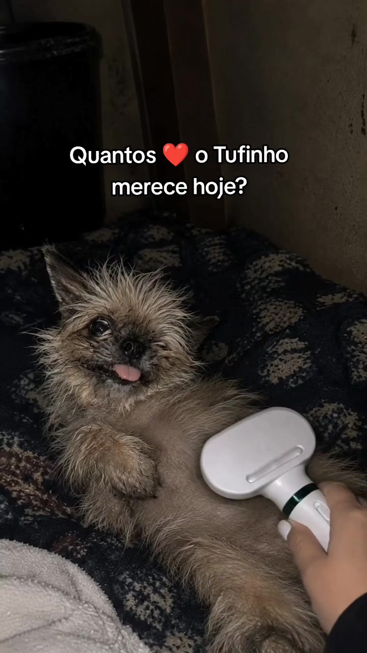 @Patinhas de rua